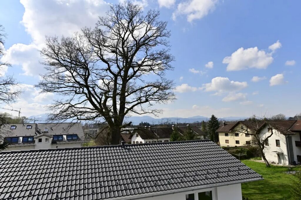 Lindl-Neuwertige-DDH-Kolbermoor-202304-02